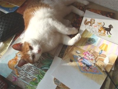 cat_w400